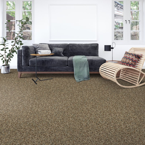 Living room with comfy carpet-Enchantingly Soft I- Stellar