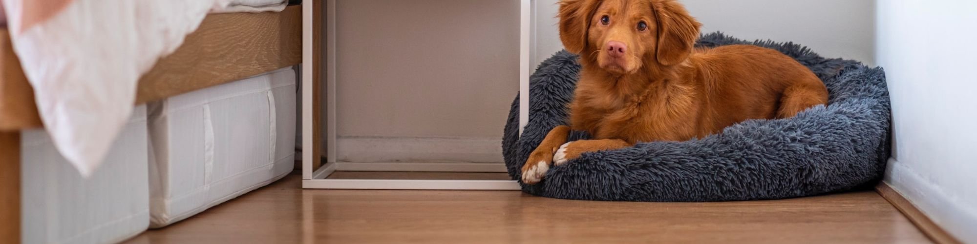 Laminate flooring adds sophisticated style—amazingly realistic hardwood and stone looks—to your home for less.