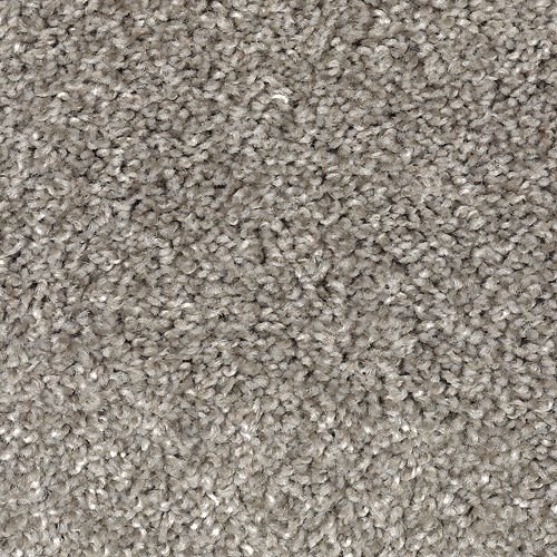Featured pet friendly carpet products from Carpeting by Mike Inc.