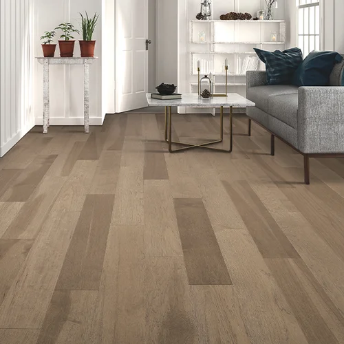 Carpeting by Mike Inc. providing pet-friendly waterproof vinyl flooring in Somerset, WI