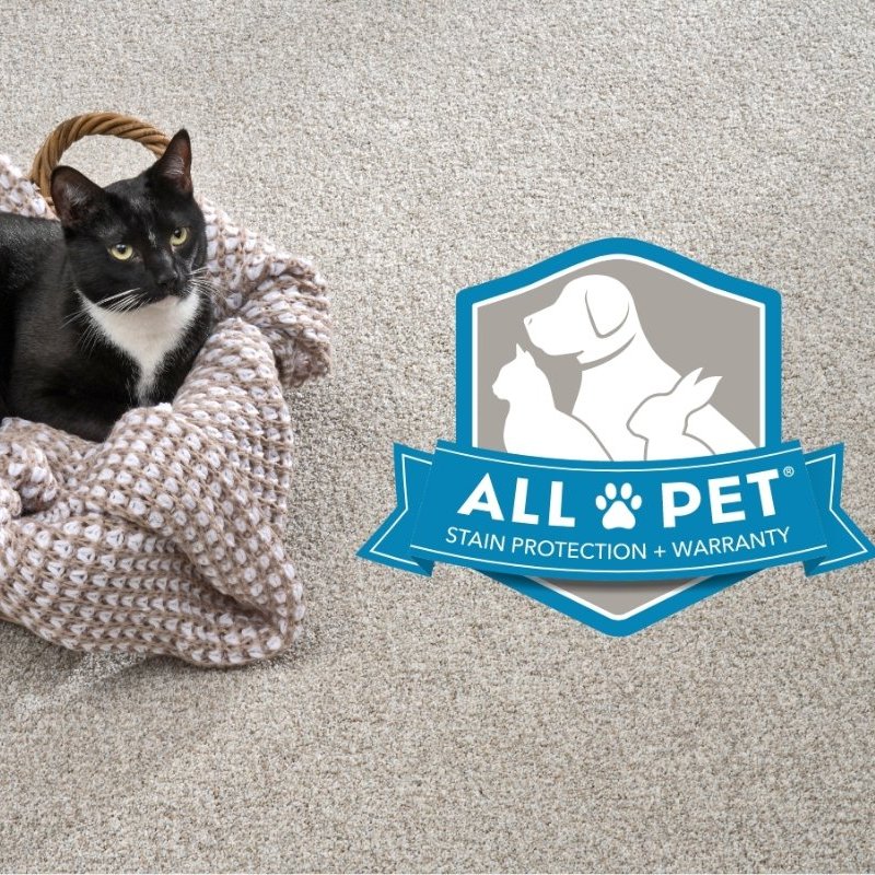 Tuxedo cat sitting in a basket on a pet friendly SmartStrand carpet floor