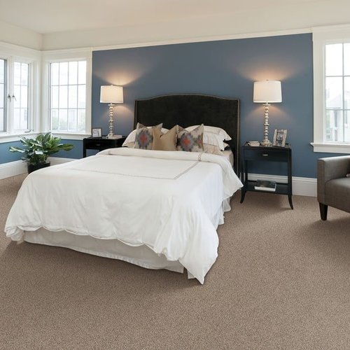 Carpet trends in Woodbury MN