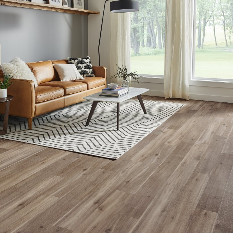 Carpeting by Mike Inc. providing pet-friendly waterproof vinyl flooring in Somerset, WI Kona , Sunrise MAX702